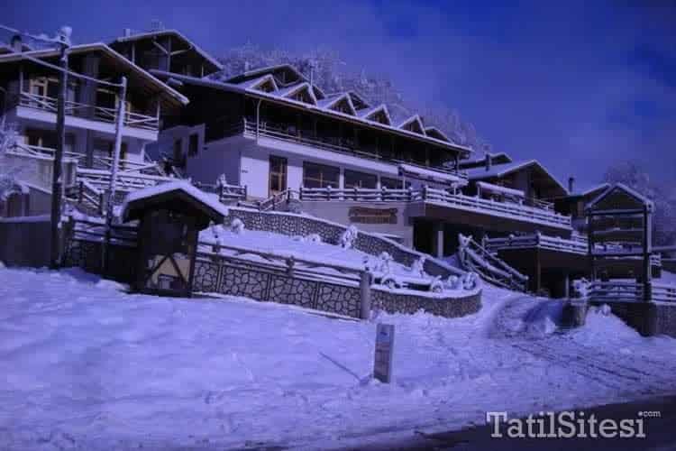 Abant Kartal Yuvası